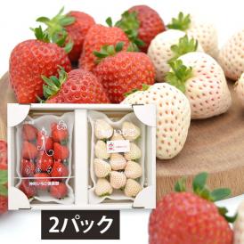 天使のいちごといちご姫 紅白詰め合わせ(約270g×2パック)