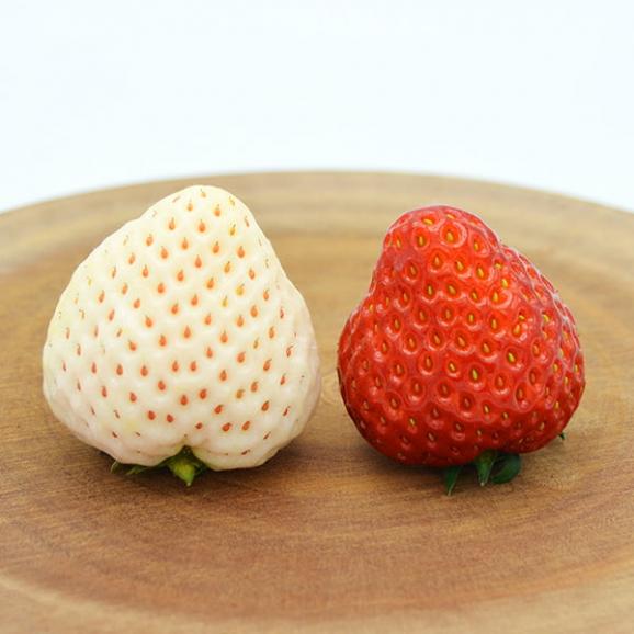 天使のいちごといちご姫 紅白詰め合わせ(約270g×2パック)04