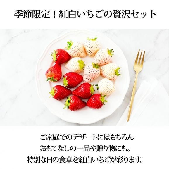 2026年完売】2027年1月頃～予約開始予定|天使のいちごといちご姫 紅白