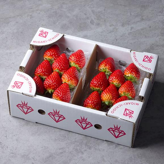 【旅する特産品】MIGAKI-ICHIGO／宮城県産いちご ミガキイチゴ レギュラー(250g&times;2パック)02