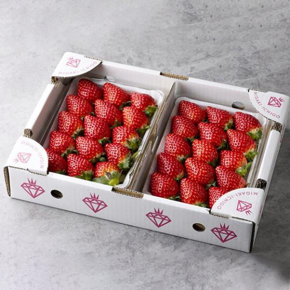 【旅する特産品】MIGAKI-ICHIGO／宮城県産いちご ミガキイチゴ シルバー(320g&times;2パック)【4月～5月出荷】02