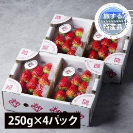 【旅する特産品】MIGAKI-ICHIGO／宮城県産いちご ミガキイチゴ レギュラー(250g×4パック)【4月～5月出荷】