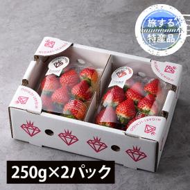 【旅する特産品】MIGAKI-ICHIGO／宮城県産いちご ミガキイチゴ レギュラー(250g×2パック)【4月～5月出荷】