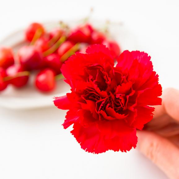 【母の日ギフト】さくらんぼ佐藤錦200gダイヤパック入[生カーネーション付]Mサイズ03