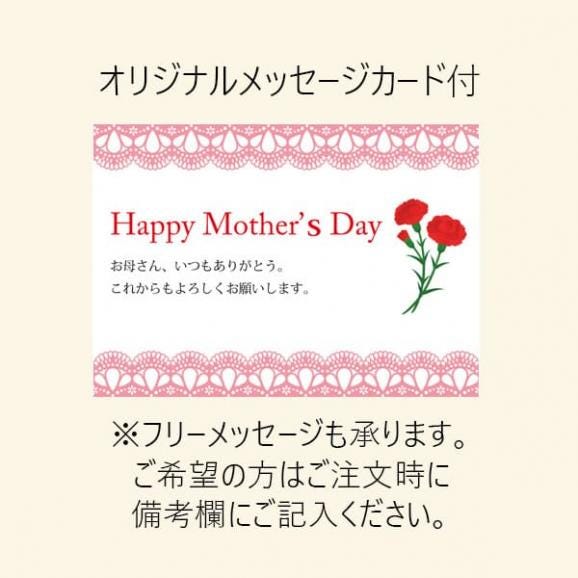 【母の日ギフト】さくらんぼ佐藤錦200gダイヤパック入[生カーネーション付]Mサイズ05