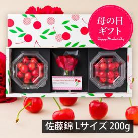 【母の日ギフト】さくらんぼ佐藤錦200gダイヤパック入[生カーネーション付]Lサイズ