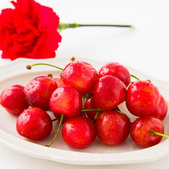 【母の日ギフト】さくらんぼ佐藤錦200gダイヤパック入[生カーネーション付]Lサイズ02