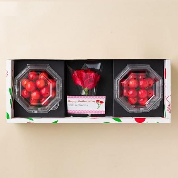 【母の日ギフト】さくらんぼ佐藤錦200gダイヤパック入[生カーネーション付]Lサイズ06