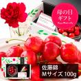 【母の日ギフト】さくらんぼ佐藤錦100gダイヤパック入[生カーネーション付]Mサイズ