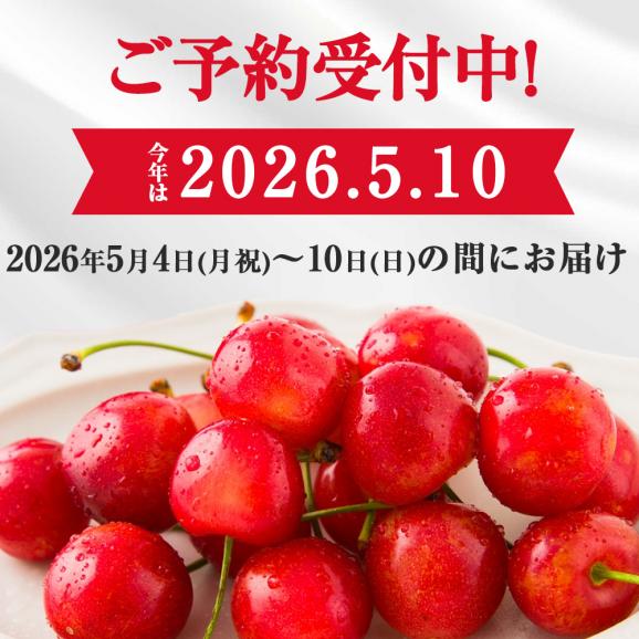 【母の日ギフト】さくらんぼ佐藤錦100gダイヤパック入[生カーネーション付]Mサイズ02