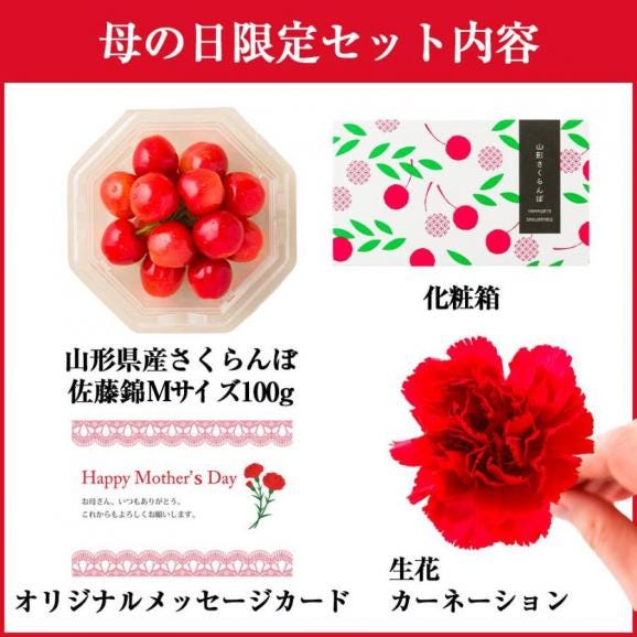 【母の日ギフト】さくらんぼ佐藤錦100gダイヤパック入[生カーネーション付]Mサイズ04