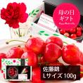 【母の日ギフト】さくらんぼ佐藤錦100gダイヤパック入[生カーネーション付]Lサイズ