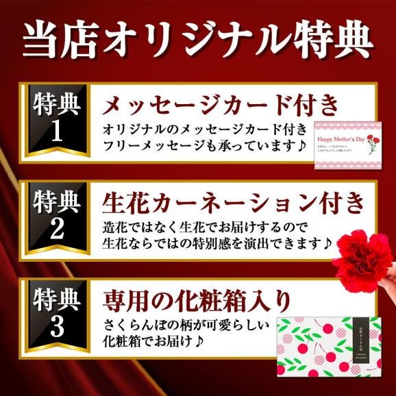 【母の日ギフト】さくらんぼ佐藤錦100gダイヤパック入[生カーネーション付]Lサイズ03