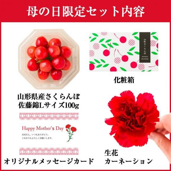 【母の日ギフト】さくらんぼ佐藤錦100gダイヤパック入[生カーネーション付]Lサイズ04