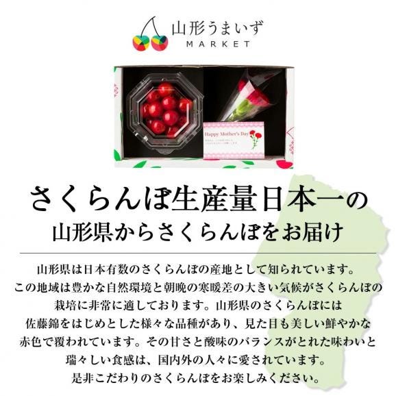 【母の日ギフト】さくらんぼ佐藤錦100gダイヤパック入[生カーネーション付]Lサイズ05