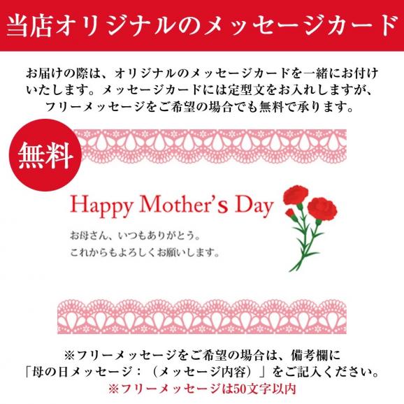 【母の日ギフト】さくらんぼ佐藤錦100gダイヤパック入[生カーネーション付]Lサイズ06