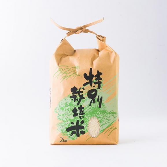 山形の米ゆうだい21約2kg精米(令和7年度米)02