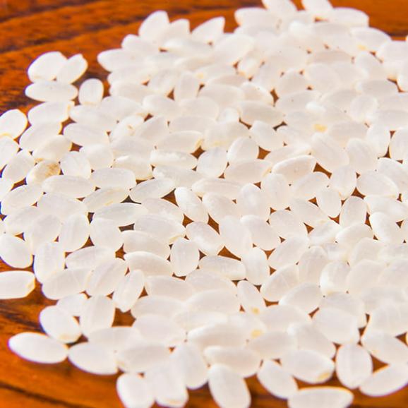 山形の米ゆうだい21約2kg精米(令和7年度米)03