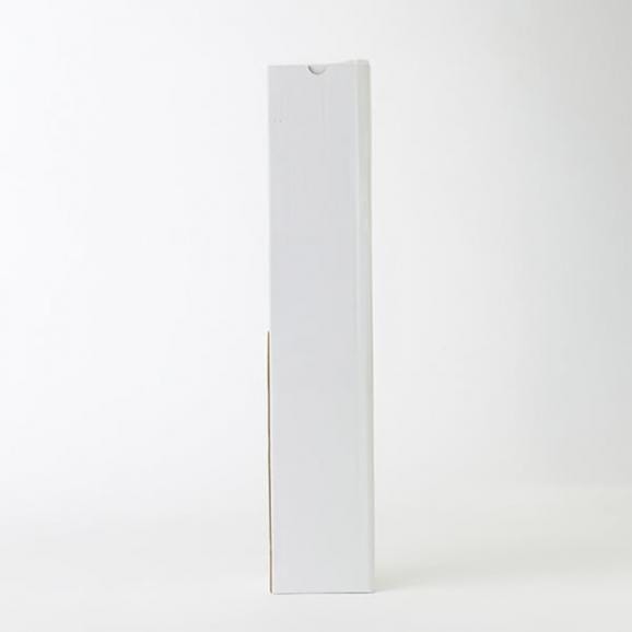 食用バラの苗（品種おまかせ）／ナカイローズファーム04