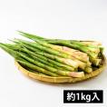 予約受付中：5月中旬頃より発送予定|朝穫り山菜 細竹(根曲がり筍)約1kg