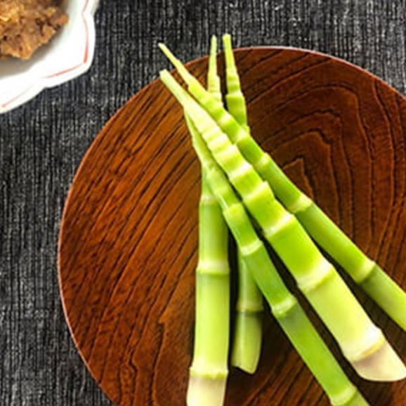 予約受付中：5月中旬頃より発送予定|朝穫り山菜 細竹(根曲がり筍)約1kg02