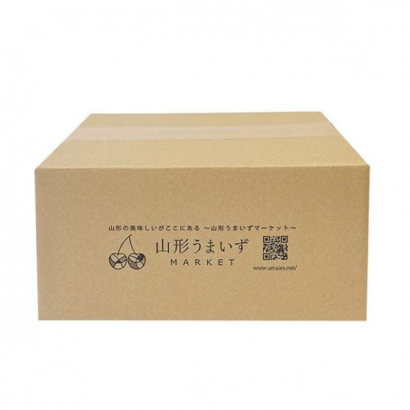 予約受付中：5月中旬頃より発送予定|朝穫り山菜 細竹(根曲がり筍)約1kg06