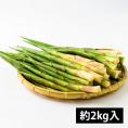 予約受付中：5月中旬頃より発送予定|朝穫り山菜 細竹(根曲がり筍)約2kg