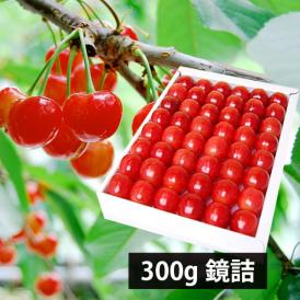 予約受付中：6月中旬頃より発送予定|山形県産さくらんぼ佐藤錦300g鏡詰特秀Lサイズ