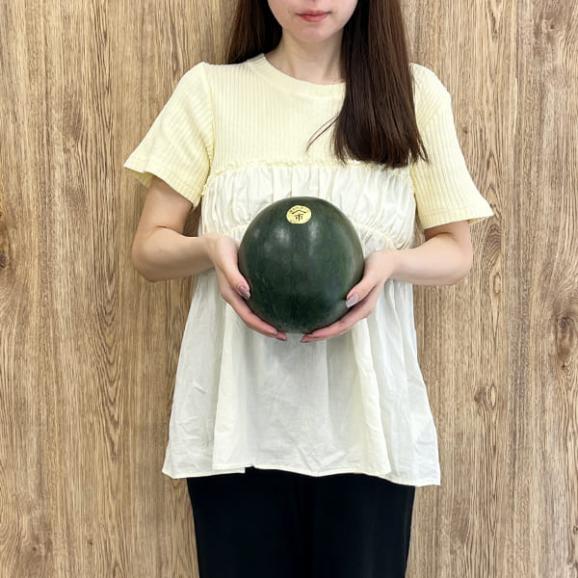 予約受付中：8月上旬頃より発送予定|尾花沢の黒小玉すいか2玉(約2kg&times;2玉)03