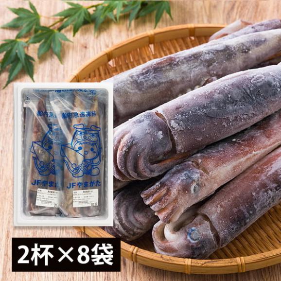 酒田船凍イカ16杯(2杯×8袋)01