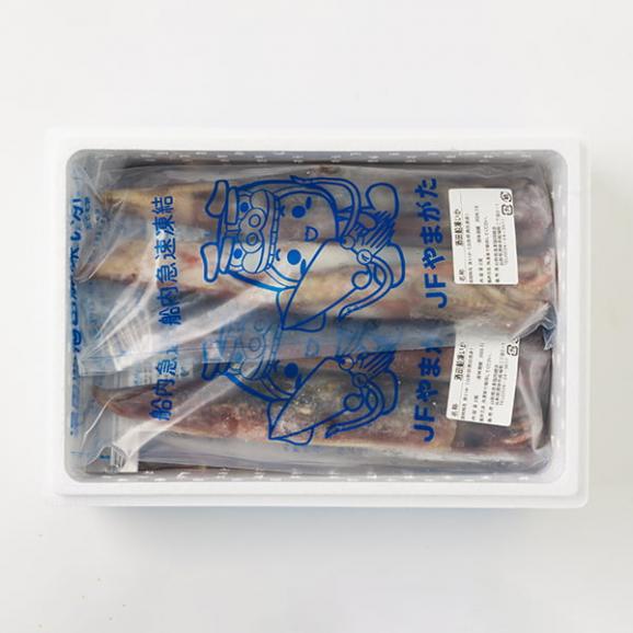 酒田船凍イカ16杯(2杯×8袋)05