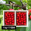 予約受付中：6月中旬頃より発送予定|徳一さくらんぼ佐藤錦1kgバラ詰Lサイズ以上