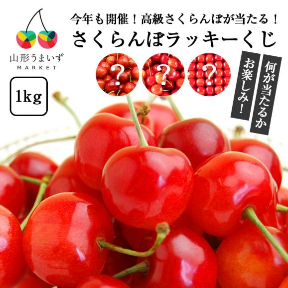 山形県産さくらんぼ1kgラッキーくじ01