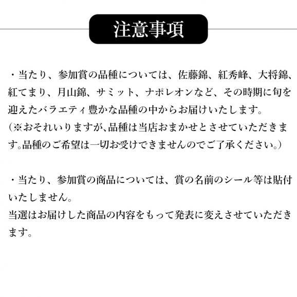 山形県産さくらんぼ1kgラッキーくじ06