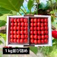 【2026年完売】2027年4月頃~予約開始予定|徳一さくらんぼ紅秀峰1kg並び詰2Lサイズ以上