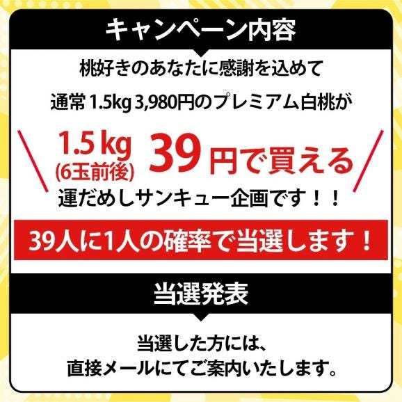 予約受付中：8月下旬頃より発送予定 | 【39円で購入できるビックチャンス！39人に1人の確率で当選！】 プレミアム 白桃 約 1.5kg ( 6玉前後 ) 04