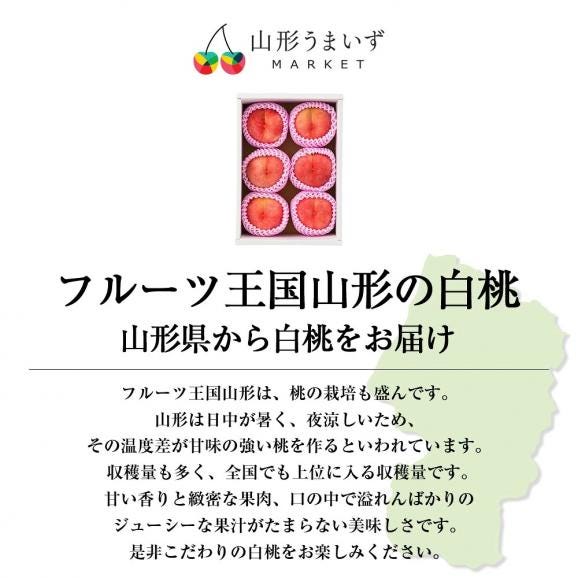 予約受付中：8月下旬頃より発送予定 | 【39円で購入できるビックチャンス！39人に1人の確率で当選！】 プレミアム 白桃 約 1.5kg ( 6玉前後 ) 06
