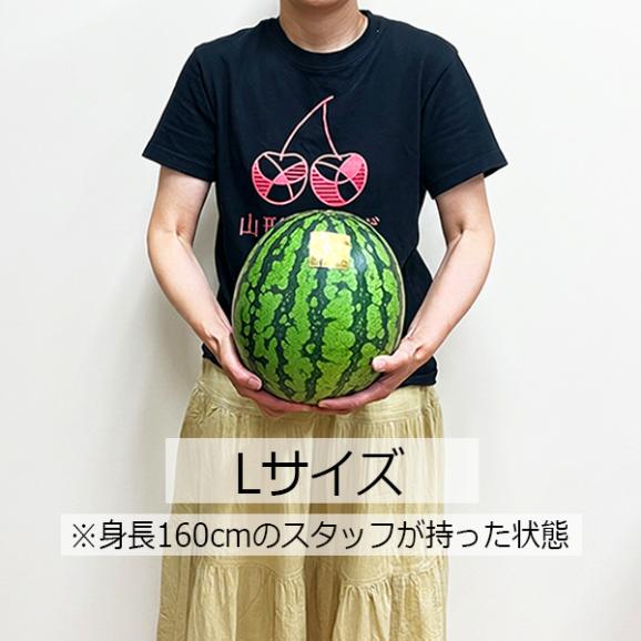 山形県産すいか1玉(Lサイズ/約6~6.9kg)05
