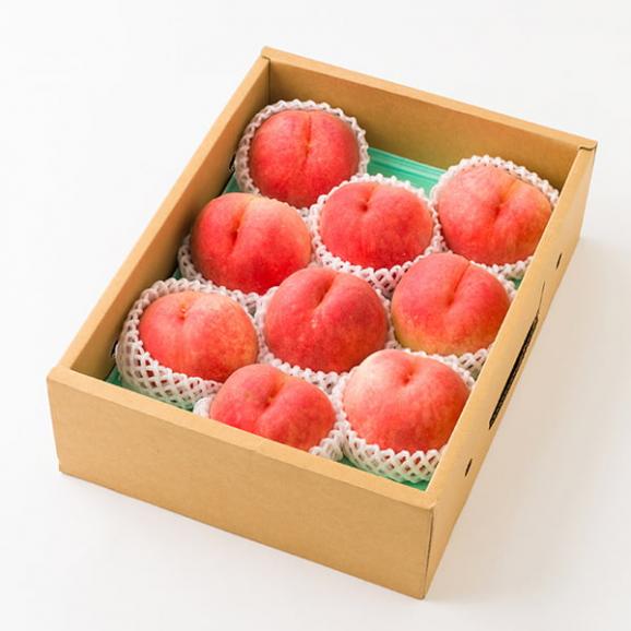 予約受付中：9月上旬頃より発送予定|芳醇白桃 伊達白桃約3kg(9玉前後)04
