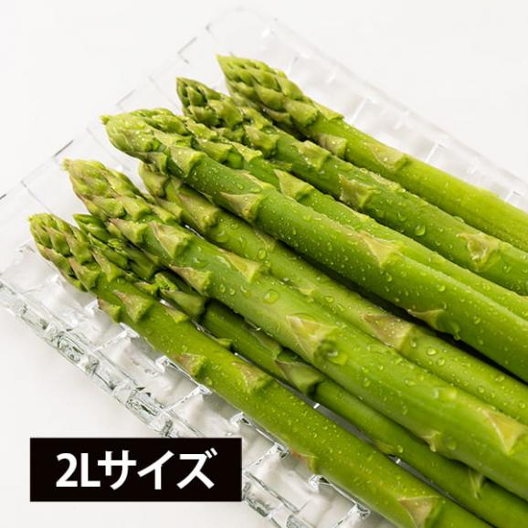 【2026年完売】2027年5月頃～予約開始予定|山形県産アスパラガス 2Lサイズ約1kg（200g&times;5）01