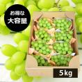 【大容量でお得！】山形県産ぶどうシャインマスカット約5kg(6～9房)