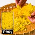 今が旬！発送期間中|山形県産食用菊ことぶき約700g／KappyFarm