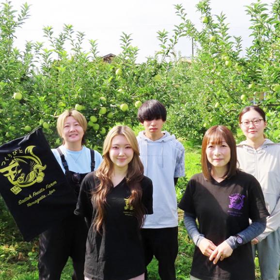予約受付中：9月下旬頃より発送予定|【数量限定】山形の白桃硬おもい2kg（4～7玉入り）【硬い桃】04