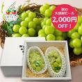 【秋の大感謝セール2000円OFF】プレミアムぶどうシャインマスカット約1kg(2房)