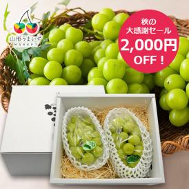 【秋の大感謝セール2000円OFF】プレミアムぶどうシャインマスカット約1kg(2房)