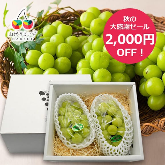 【秋の大感謝セール2000円OFF】プレミアムぶどうシャインマスカット約1kg(2房)01