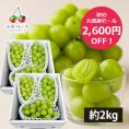 【秋の大感謝セール2600円OFF】《ご家庭用》プレミアムぶどうシャインマスカット約2kg(6房前後)