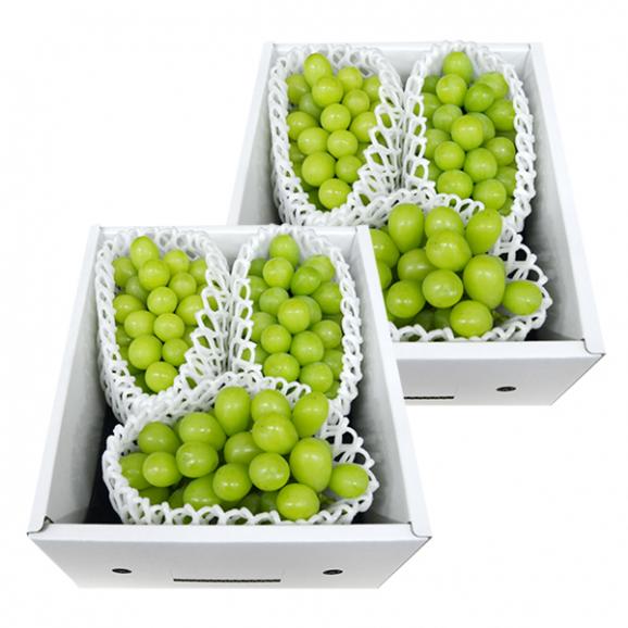 【秋の大感謝セール2600円OFF】《ご家庭用》プレミアムぶどうシャインマスカット約2kg(6房前後)03