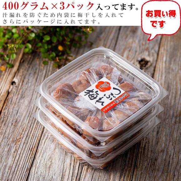 梅干し はちみつ 訳あり はちみつ梅干し 1.2kg（400g×3個） 塩分8％ つぶれ梅 うめぼし 国産 梅干 紀州南高梅 はちみつ漬け 熱中症対策 誕生日 プチギフト06