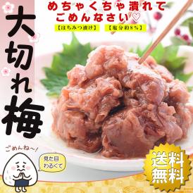 梅干し はちみつ梅 紀州南高梅 減塩 つぶれ梅 はちみつ漬け 訳あり はちみつ梅干し 南高梅 梅